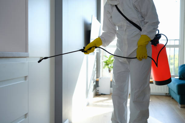 Best Post-Flood Mold Remediation in San Andreas, CA